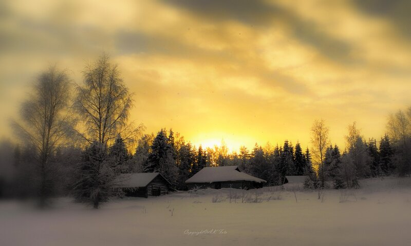 Wooden Cabins in Snow — Yellow