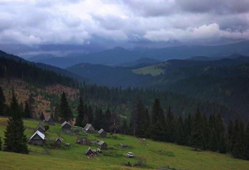 Wooden Cabins in Valley — Green, Overcast