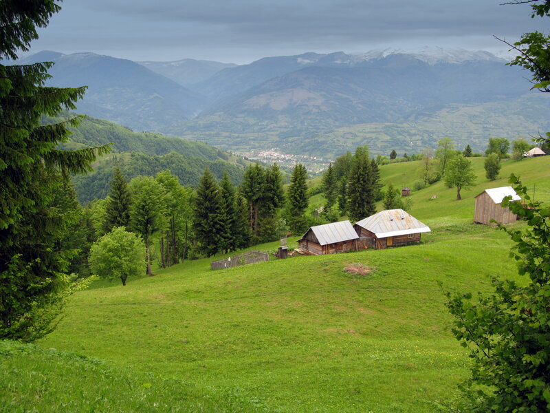 Wooden Cabins in Valley — Green, Serene, Afternoon