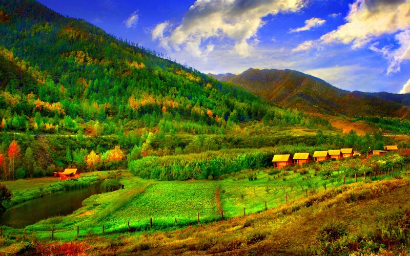 Wooden Cabins in Valley — Green