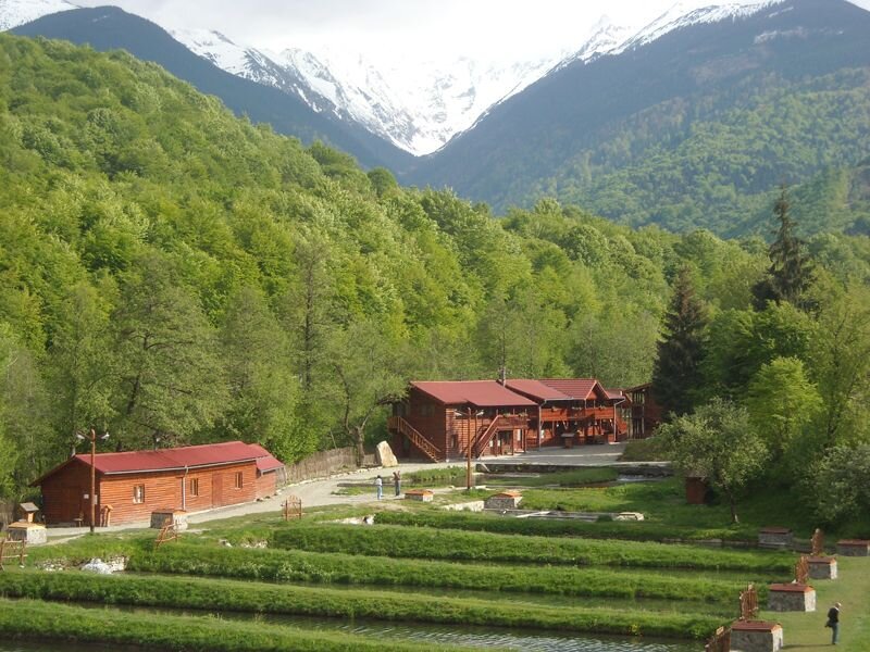 Wooden Cabins in Valley