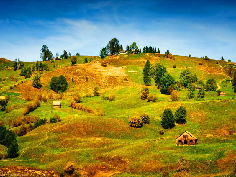 Wooden Cabins on Hills
