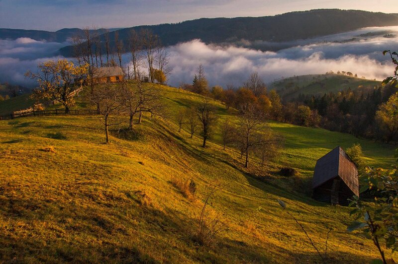 Wooden Cabins on Hillside — Green