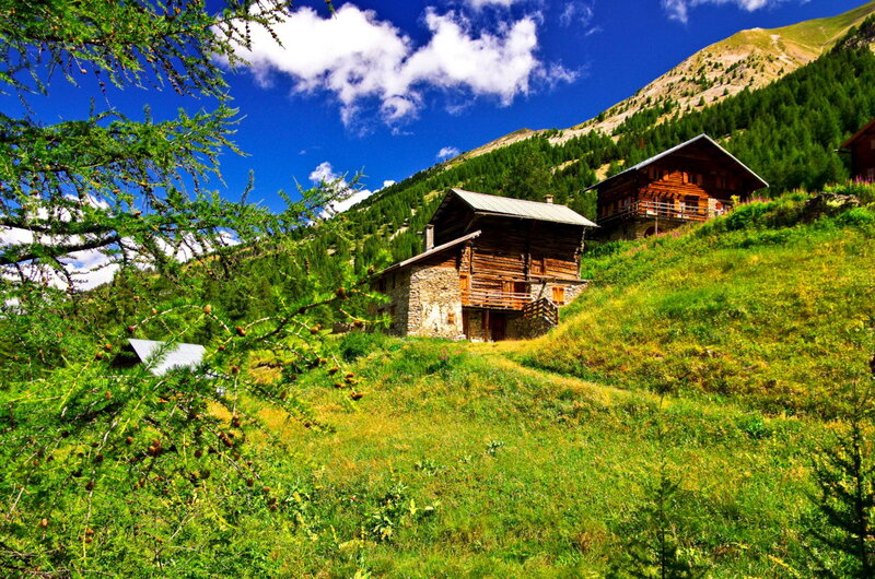 Wooden Cabins on Hillside