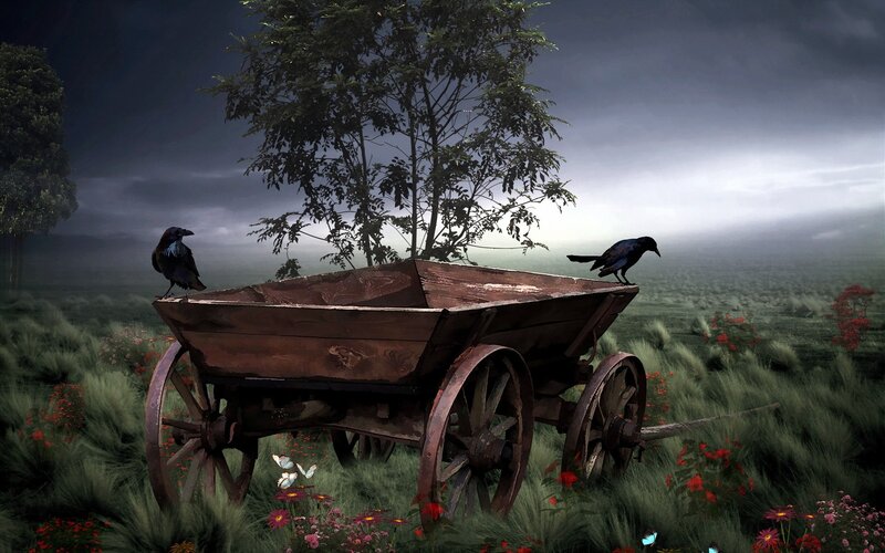 Wooden Cart in Field — Green, Dramatic