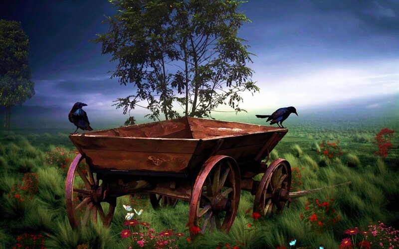 Wooden Cart in Field — Green