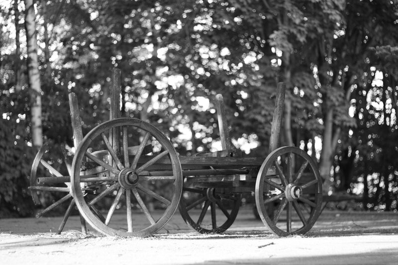 Wooden Cart in Forest