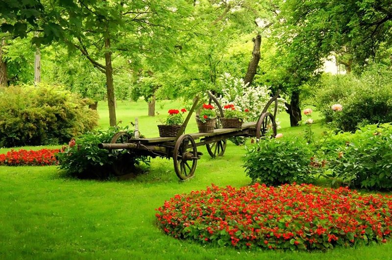 Wooden Cart in Garden — Green