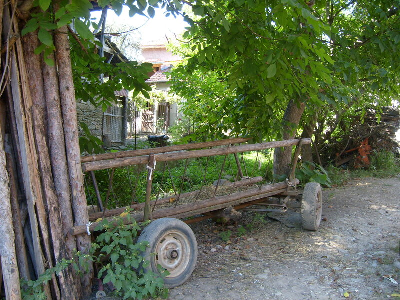 Wooden Cart under Trees