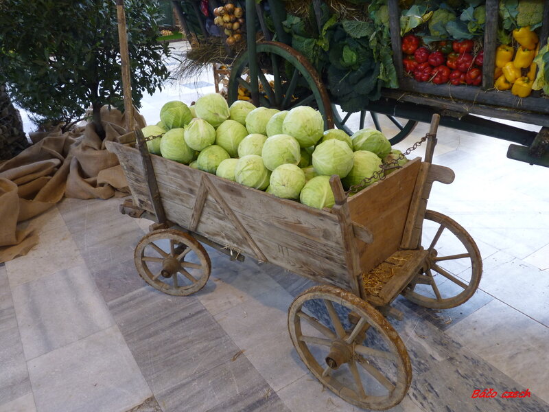 Wooden Cart with Cabbages