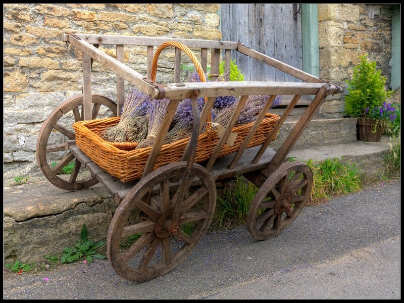 Wooden cart with lavender bundles