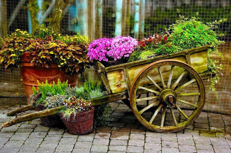 Wooden Cart with Plants