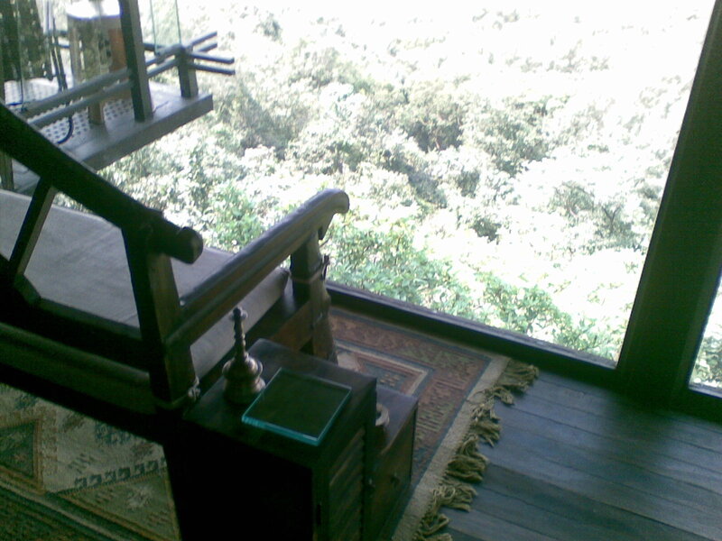 Wooden chair by a forest window