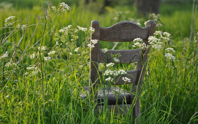 Wooden Chair in Field