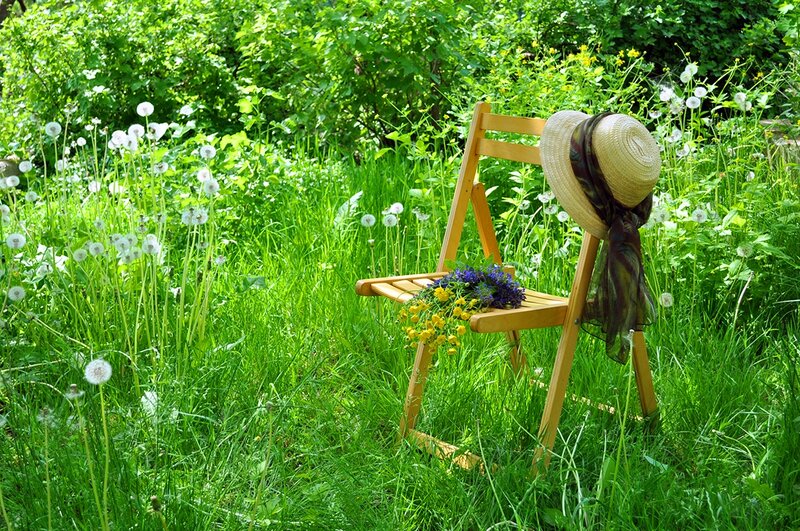 Wooden Chair in Garden — Green, Serene