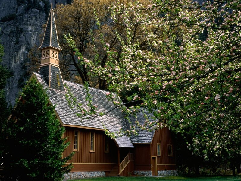 Wooden Chapel in Forest — Brown, Serene, Spring, Photograph