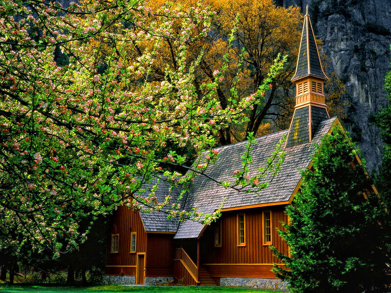 Wooden Chapel in Forest — Brown, Serene
