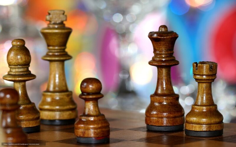 Wooden chess pieces on board