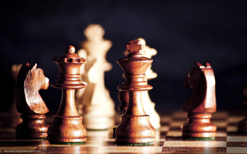 Wooden chess pieces on board