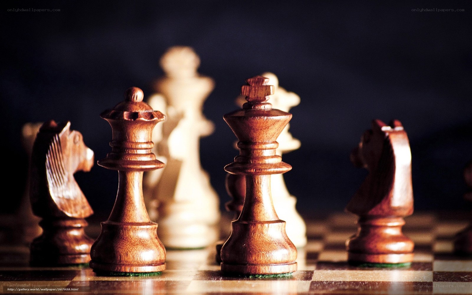 Wooden chess pieces on board