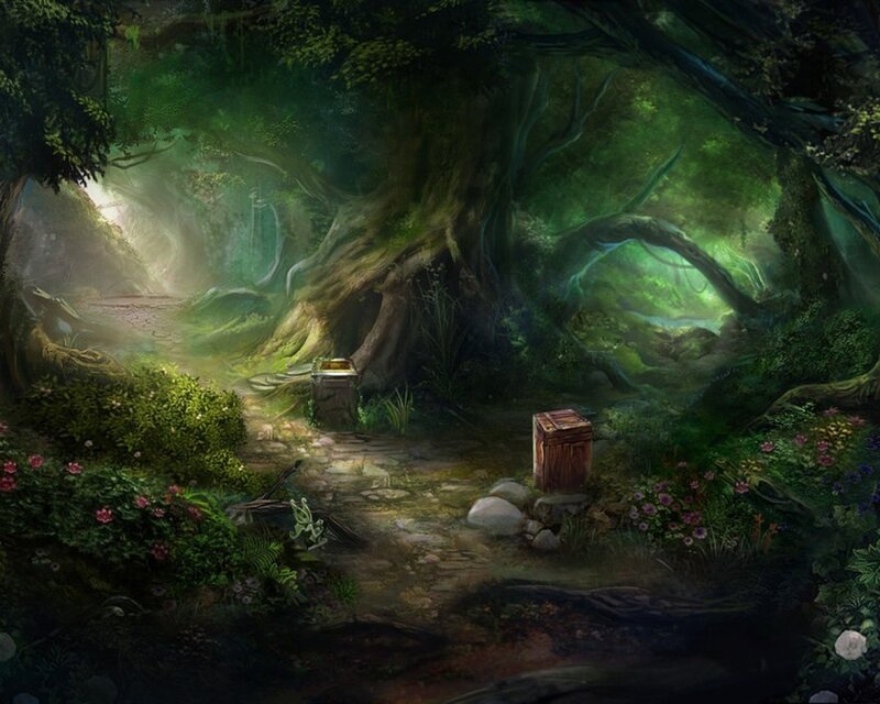 Wooden Chests in Forest