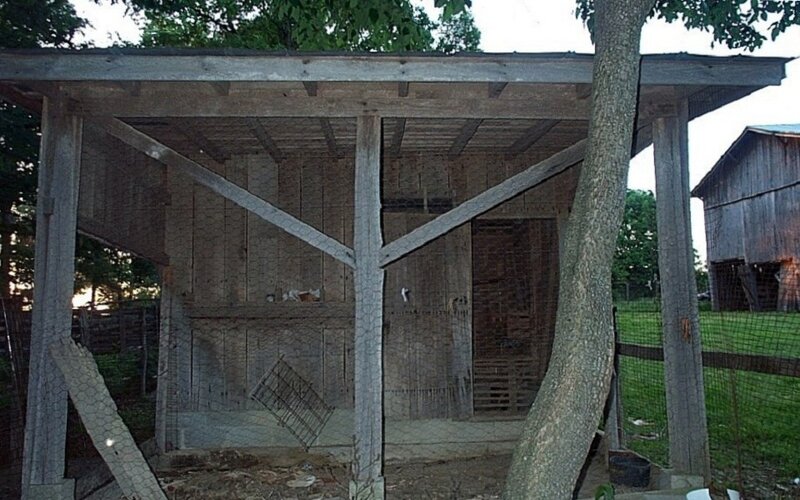 Wooden Chicken Coop