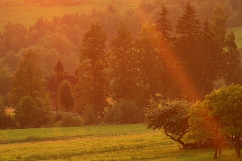 Wooden Church in Forest