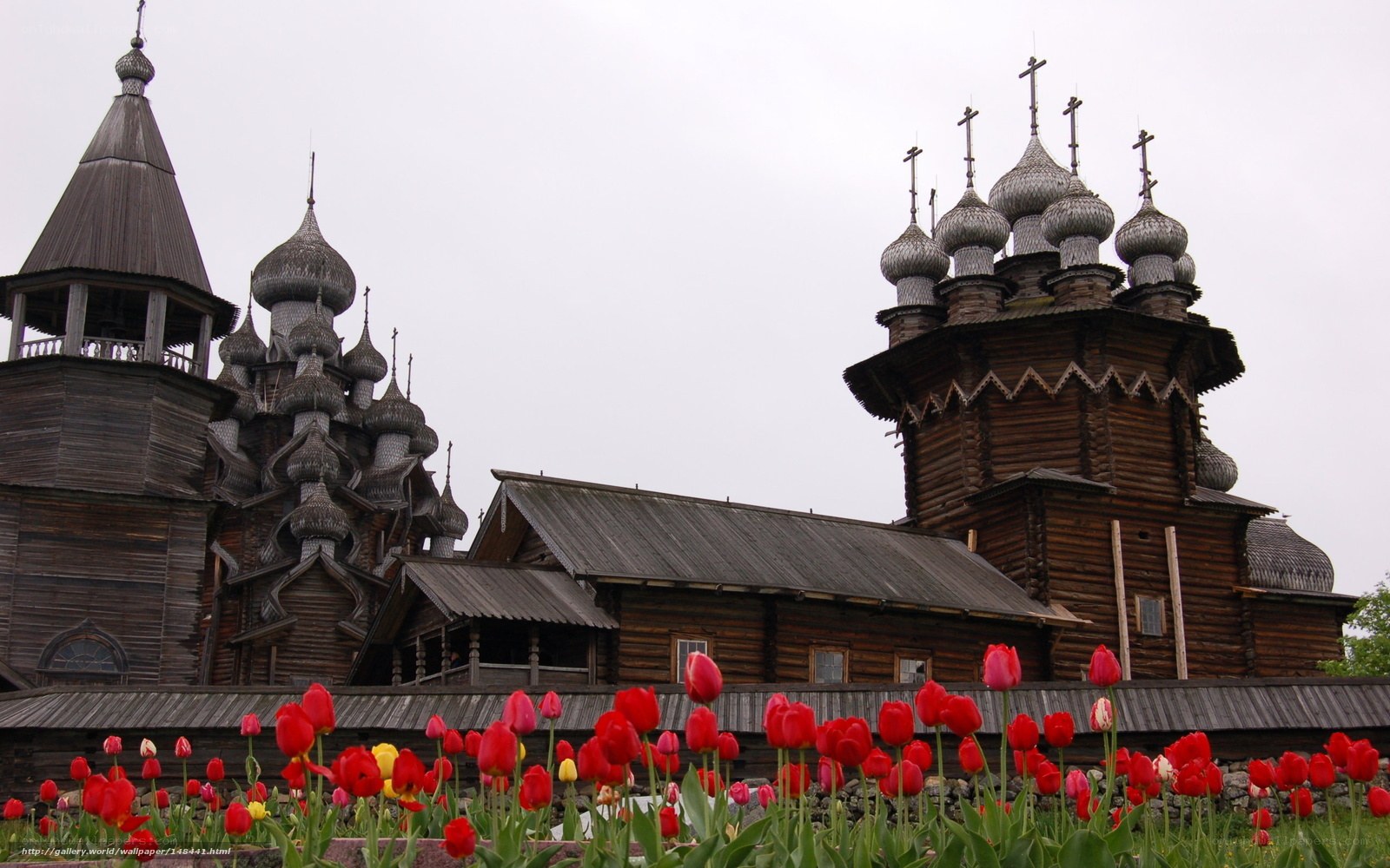 Wooden church with tulips
