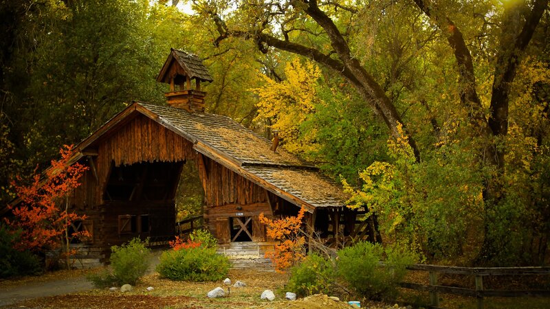 Wooden Covered Bridge — Brown, Serene, Autumn