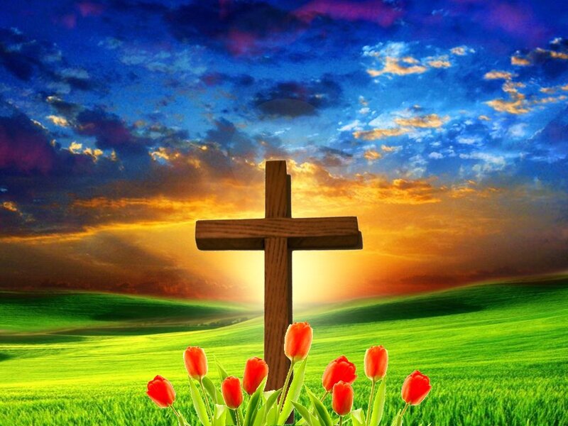Wooden Cross in Field