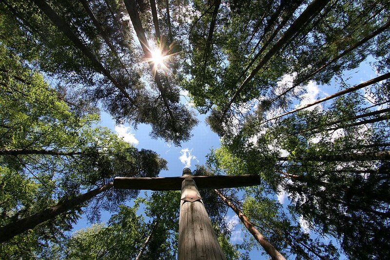 Wooden Cross in Forest