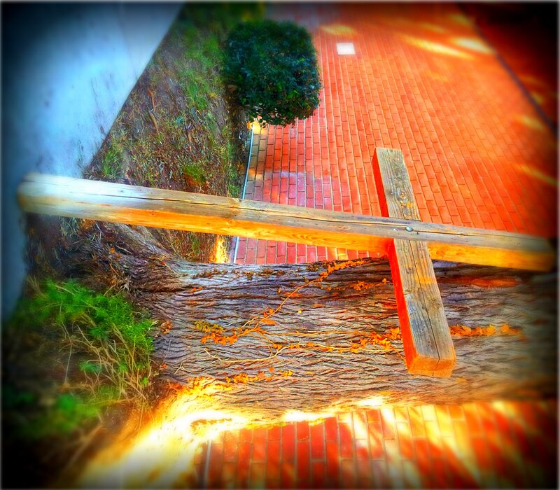 Wooden Cross on Tree Trunk