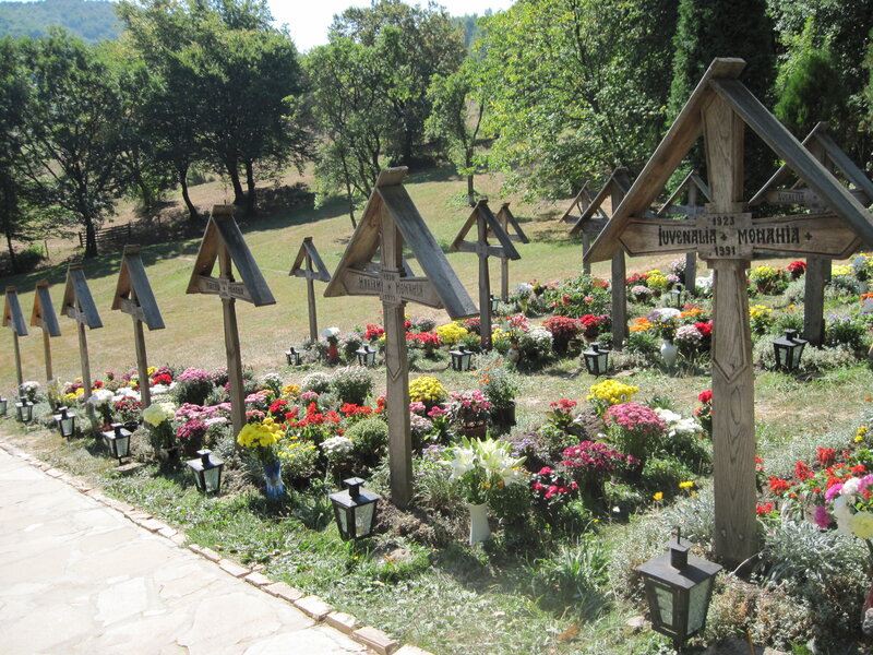 Wooden Crosses in Cemetery