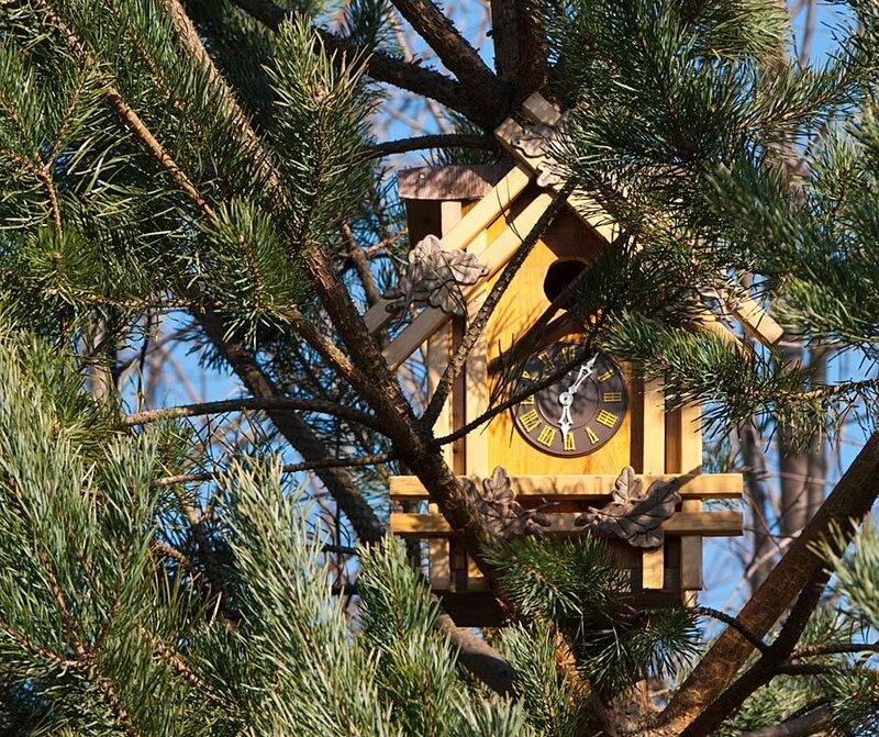 Wooden Cuckoo Clock in Tree