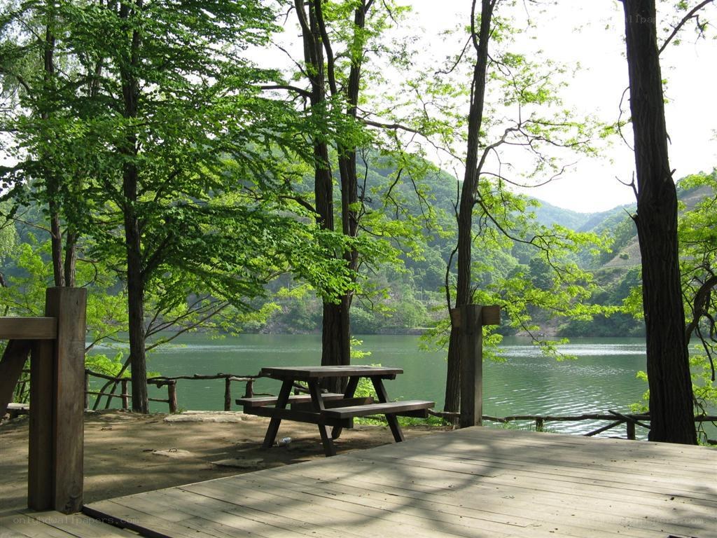 Wooden deck by a lake