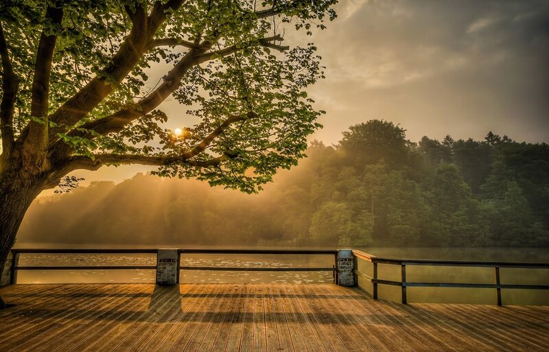 Wooden Deck by Lake — Brown
