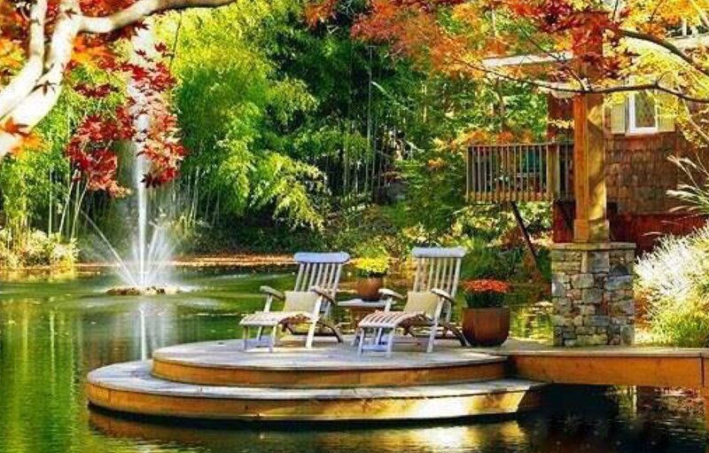 Wooden Deck by Pond — Green