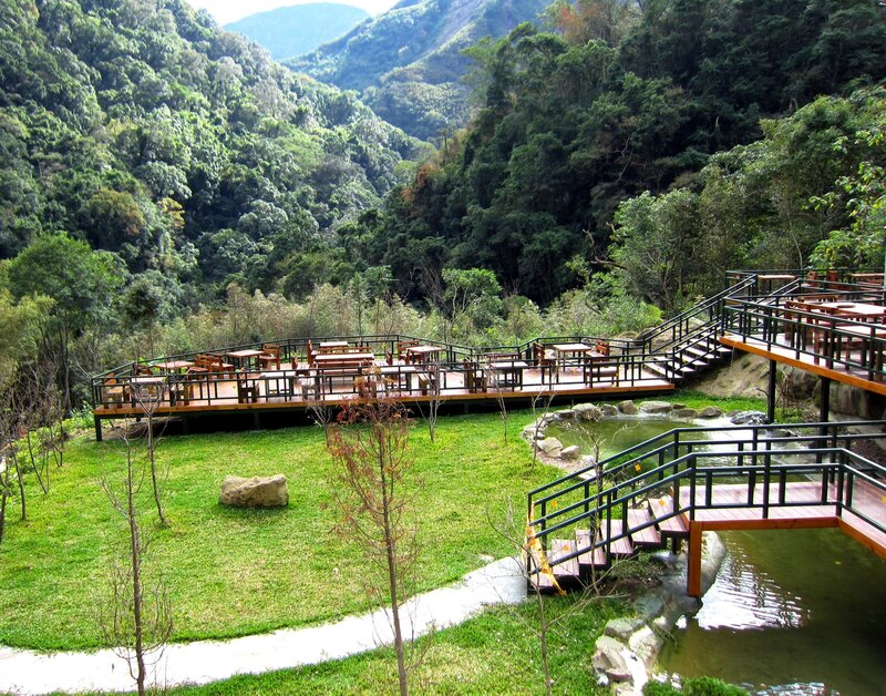 Wooden Deck in Forest — Green