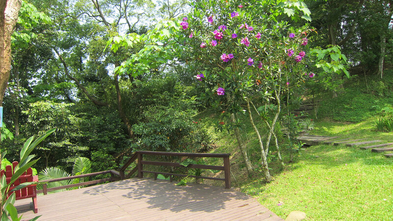 Wooden Deck in Garden — Green