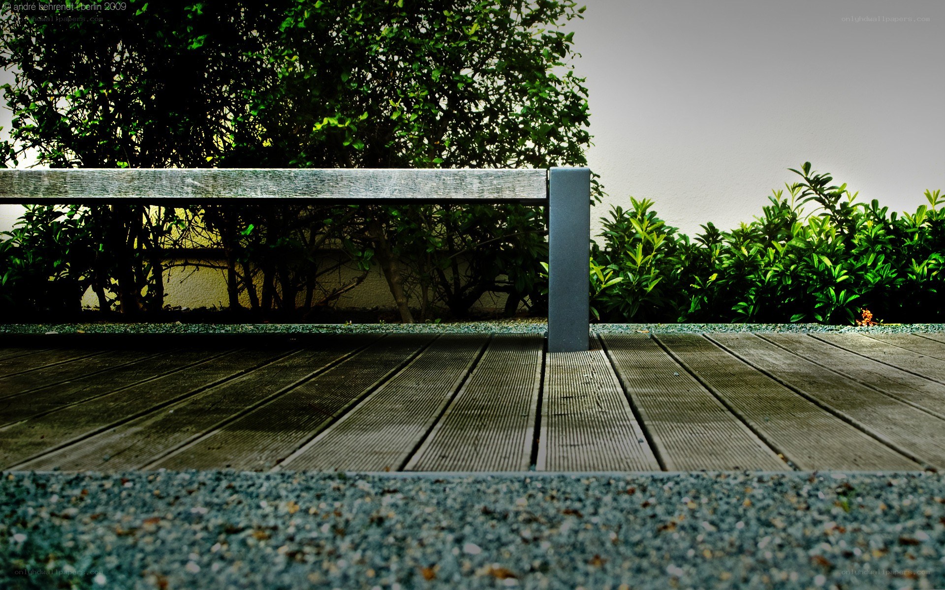 Wooden deck with bench and greenery