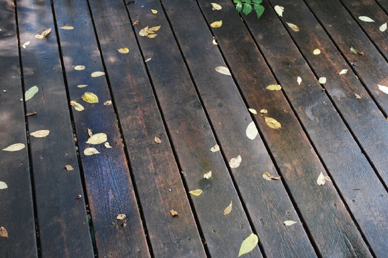 wooden deck with fallen leaves
