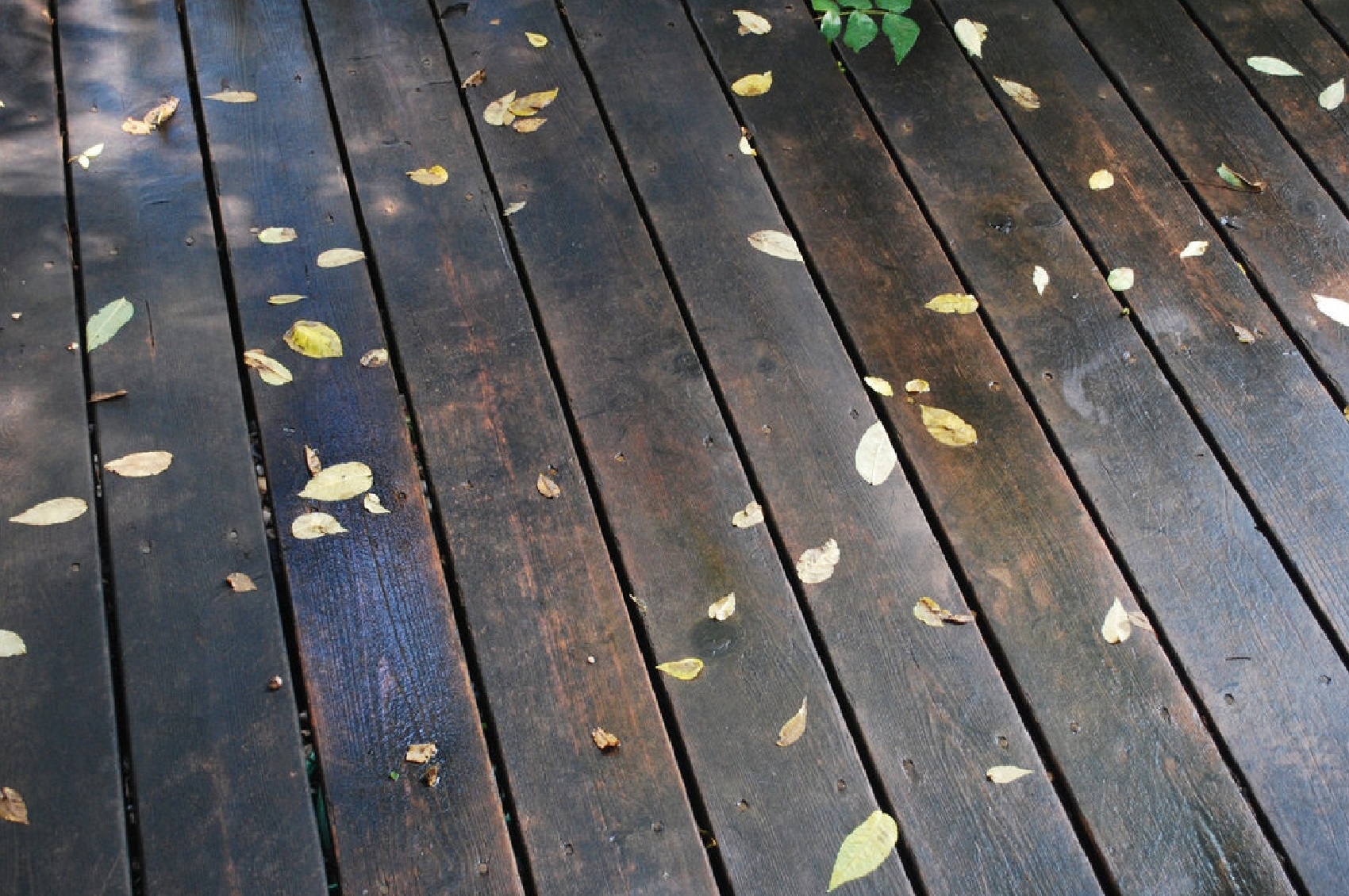 wooden deck with fallen leaves