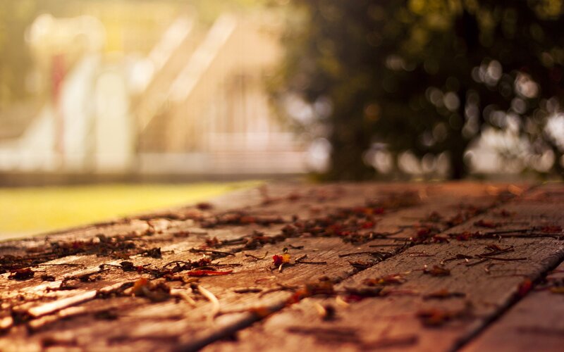 wooden deck with fallen petals
