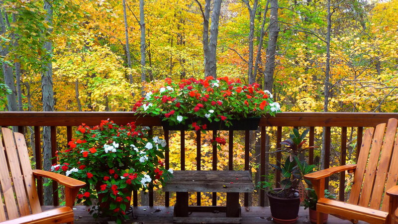 Wooden Deck with Flowers