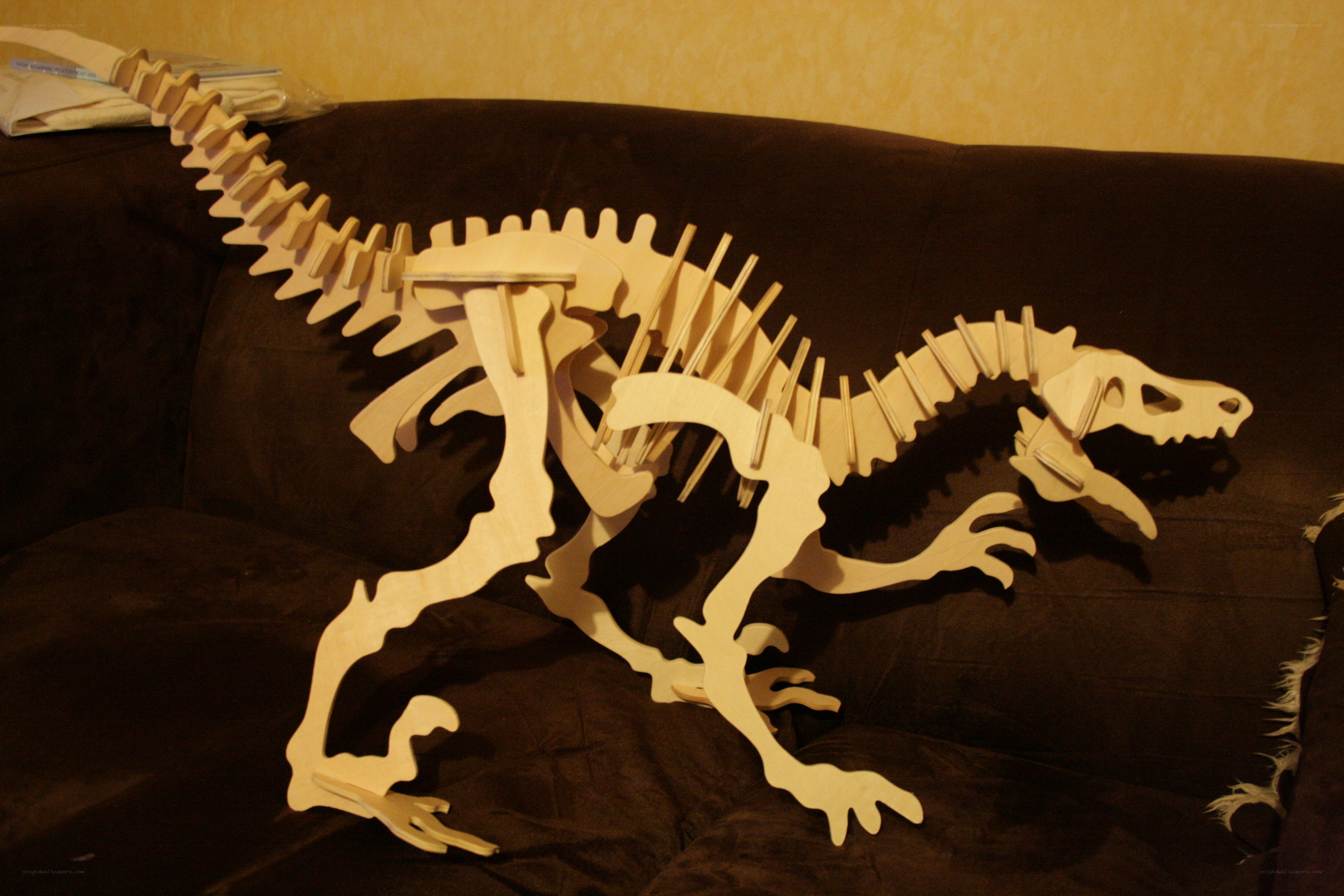 Wooden dinosaur skeleton model