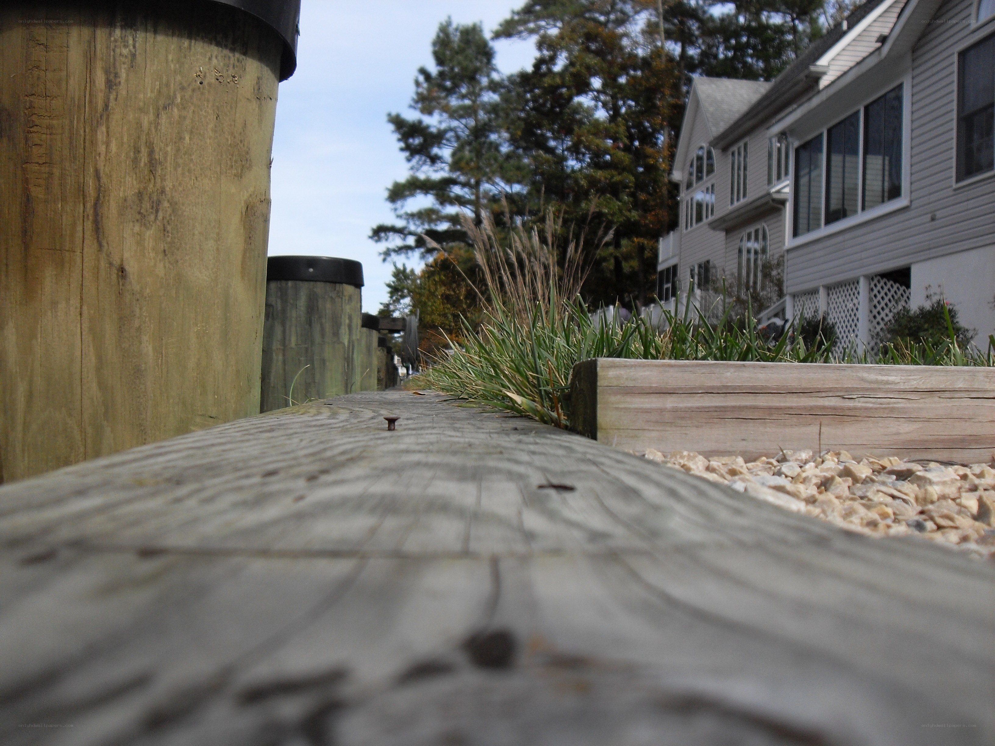 wooden dock and house view