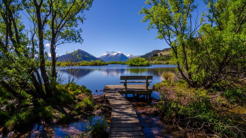 Wooden Dock at Lake — Blue, Serene, Afternoon, Photograph, Trees