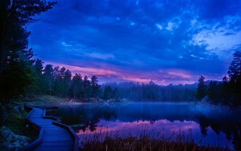 Wooden Dock at Lake — Blue, Serene, Sunset, Photograph, Forest