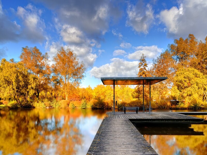 Wooden Dock at Lake