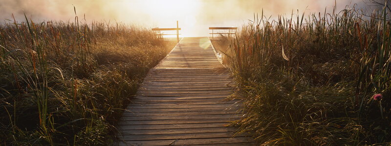 Wooden dock at sunrise